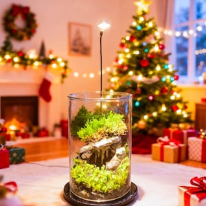 Live Moss Terrarium in Glass Jar Mini Bioactive Mossarium with Stone & Tiny Figurine Natura Desktop Ecosystem DIY Mini Garden Gift for Lover