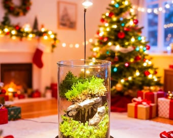 Terrario de musgo vivo en frasco de vidrio, mini musgo bioactivo con piedra y pequeña figura, ecosistema de escritorio Natura, minijardín DIY, regalo para enamorados.