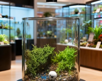 Terrario de musgo vivo en frasco de vidrio, mini musgo bioactivo con piedra y pequeña figura, ecosistema de escritorio Natura, minijardín DIY, regalo para enamorados.