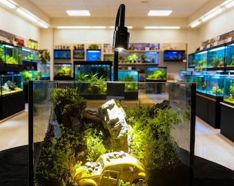 Terrario de musgo vivo en frasco de vidrio, mini musgo bioactivo con piedra y pequeña figura, ecosistema de escritorio Natura, minijardín DIY, regalo para enamorados.