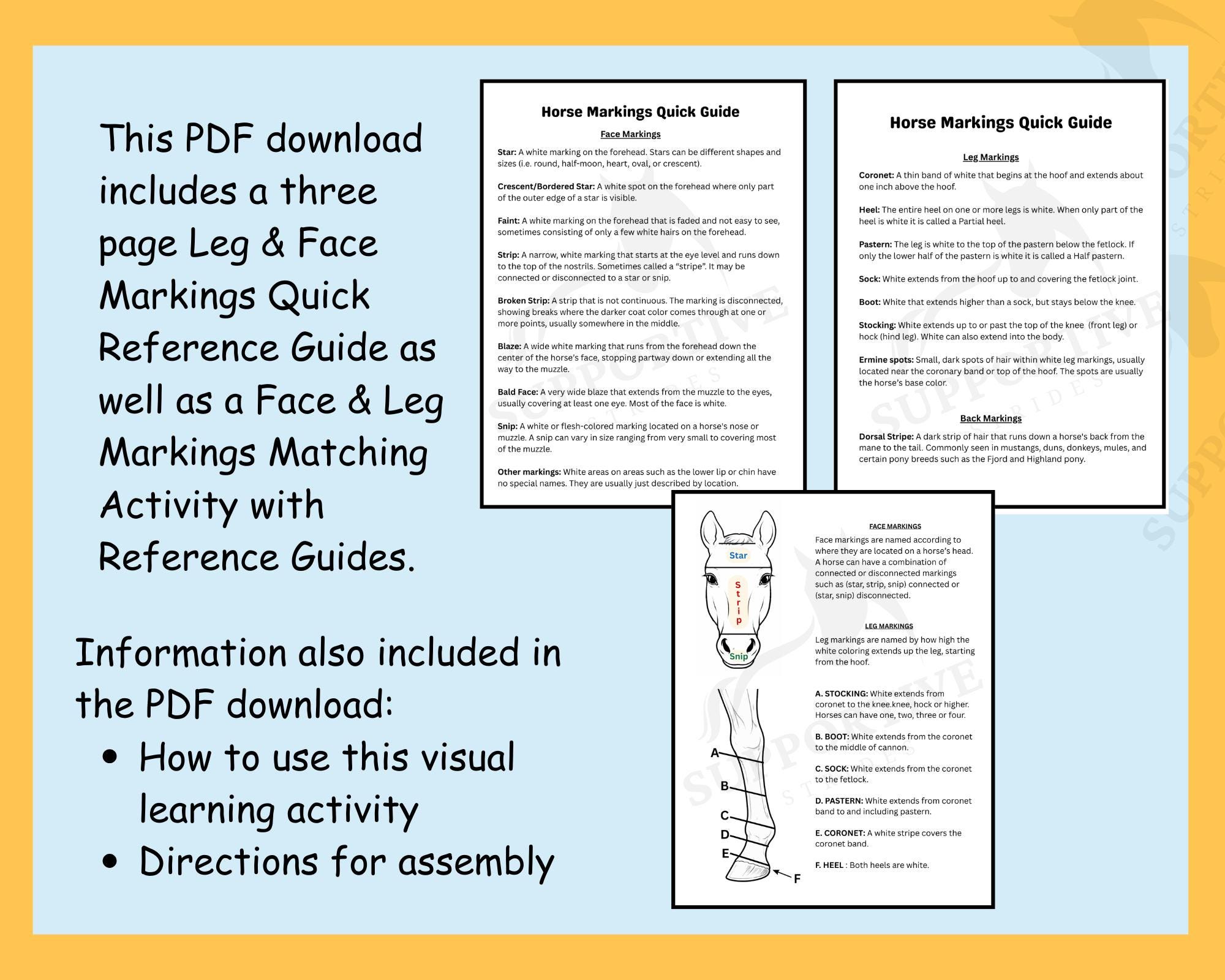 Horse Markings Matching Activity & Reference Guides (digital Download ...