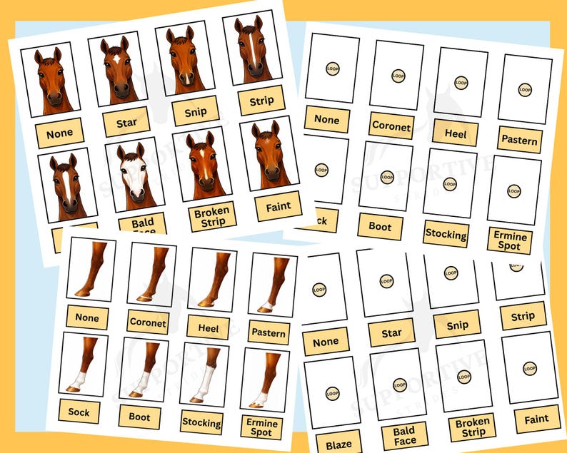 Horse Markings Matching Activity & Reference Guides (digital Download ...