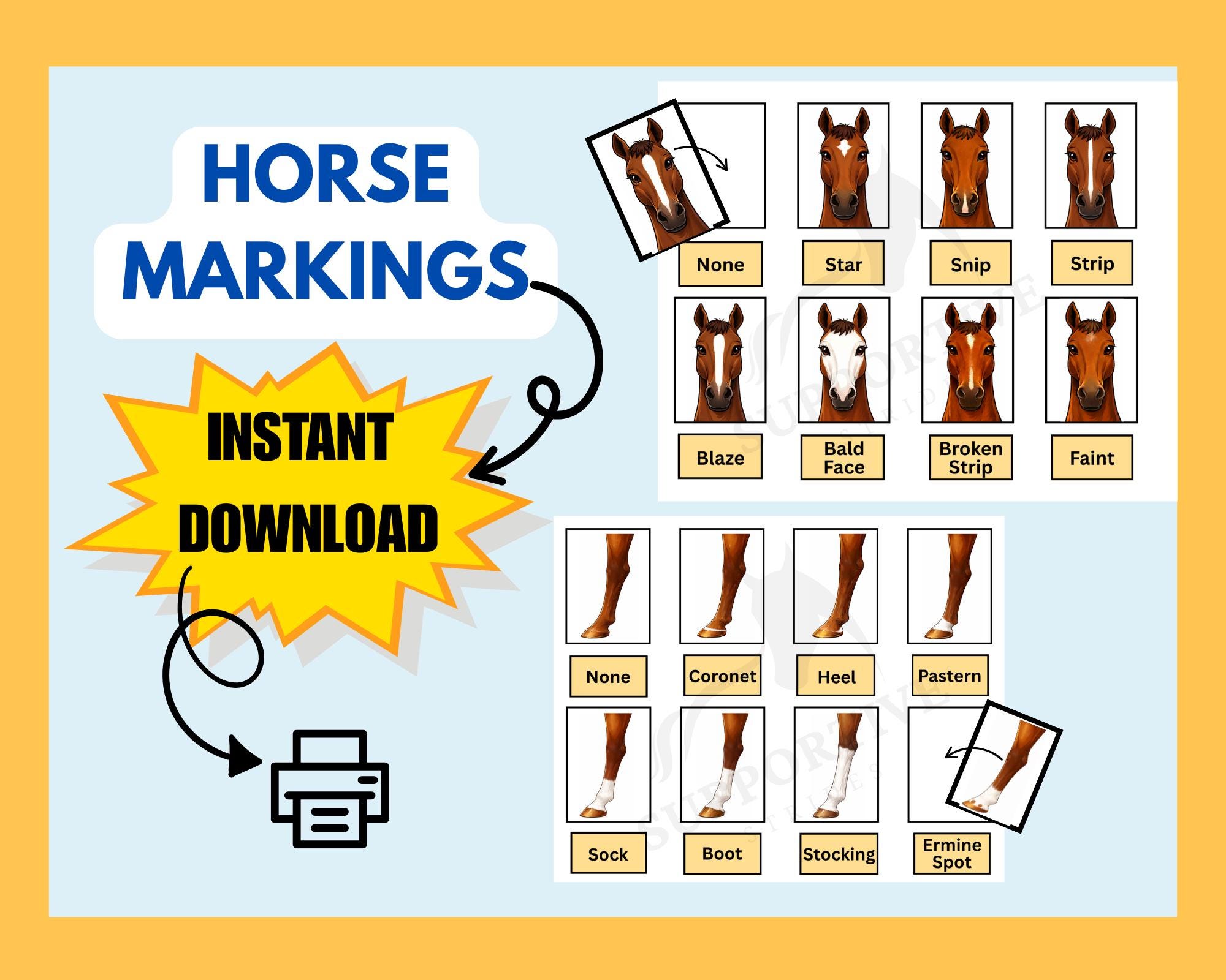 Horse Markings Matching Activity & Reference Guides (digital Download ...