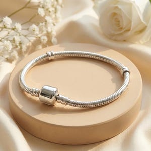 May include: A silver snake chain bracelet featuring a smooth, cylindrical barrel clasp. The bracelet has a flexible, woven metal texture and is designed to hold charms. The polished silver surface reflects light, highlighting the rounded links.