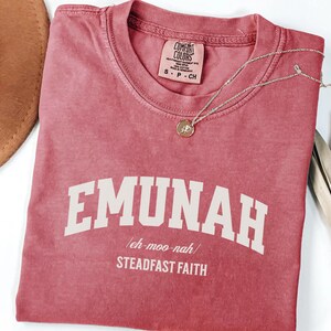 Steadfast Faith Comfort Colors Christian T Shirt, Christian unisex shirts, Jesus apparel, Religious clothing gift, Church outfit