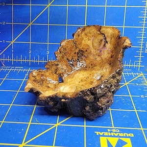Burl maple bowl sculpture with live edge and resin coated