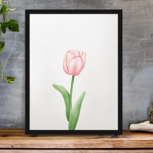 Pink Tulip PNG – A Gentle Smile in Spring | Watercolor Flower Clipart