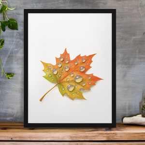 Autumn Drops – Watercolor Maple Leaf with Rain on Fall Colors