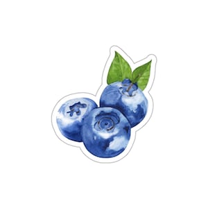 Blueberry Watercolor Vinyl Stickers | Die-Cut Stickers | Cute Blueberry Stickers for Journals, Laptops, Water Bottles, Gifts, Nature Lovers
