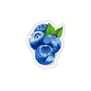 Die-Cut Blueberry Stickers, Cute Fruit Stickers for Laptops, Water Bottles, Journals, Kids&#39; Decor, Gifts for Fruit Lovers