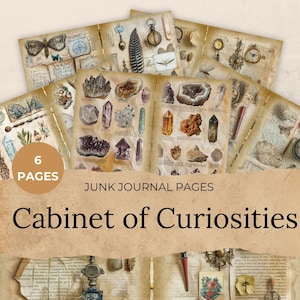 Cabinet of Curiosities Junk Journal Kit, Digital Scrapbook Paper, Field Book Printable, Victorian Collage Sheet, Vintage Botany, Butterfly