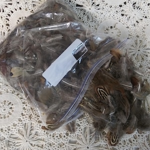 Natural Bird Feathers, large bundle, small Pheasant