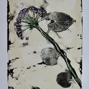 Monostampa botanica, stampa gelli di fiori di aglio, esclusiva decorazione murale, aspetto vintage, stampa gelli, realizzata in casa, dal proprio giardino.
