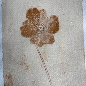 Monostampa botanica, stampa gelli di anemone giapponese su carta fatta a mano, esclusiva opera d'arte murale, look vintage, realizzata in casa con piante del proprio giardino.