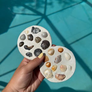 May include: Two round, white coasters embedded with a variety of seashells in shades of brown, tan, and cream. The coasters are held against a turquoise background, showcasing the natural textures and colors of the shells.