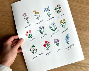 May include: A botanical print featuring hand-drawn illustrations of various flowers, including carnation, marguerite, cornflower, and wild rose. Each flower is labeled with its name in a delicate script. The print is held by a person's hand.