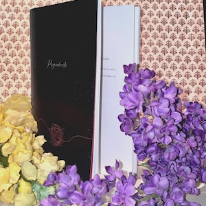 libro di poesie - pregiudicata