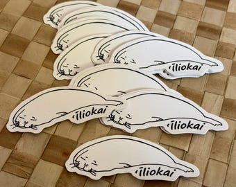 Hawaiian Monk Seals by Melody Smith - Etsy