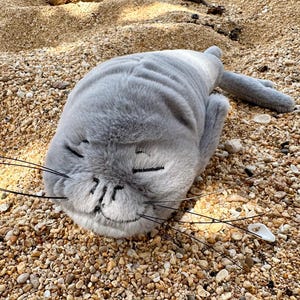 May include: A soft, grey seal toy with a smiling face and long whiskers, resting on small pebbles. The seal has a light grey belly and a darker grey back. The toy is designed to resemble a relaxed seal.