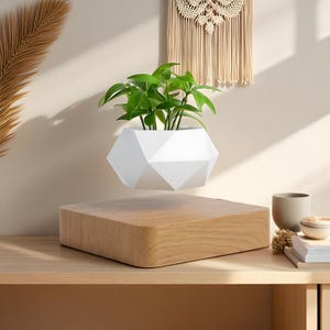 Puede incluir: Una maceta geométrica blanca con plantas verdes levita sobre una base de madera. El diseño moderno presenta un efecto flotante, mostrando una pieza decorativa única para la decoración del hogar. La base mide aproximadamente 30 cm cuadrados.