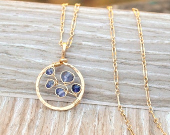 Bluebonnet Necklace, As Seen On Law & Order: SVU, Hammered Gold Circle Pendant, Artisan Iolite Gemstone Necklace, Gift For Her