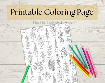 Adult Coloring Page PDF | Herb Garden Coloring Page | Printable Coloring Page | Cottagecore Apothecary Herb Kitchen Coloring Page Grimoire
