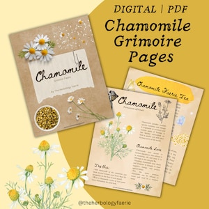 May include: A digital printable grimoire page featuring a hand-drawn illustration of chamomile flowers with the text "Chamomile Faerie Tea" and "Chamomile Taraxacum officinale". The page includes information about the history and uses of chamomile.