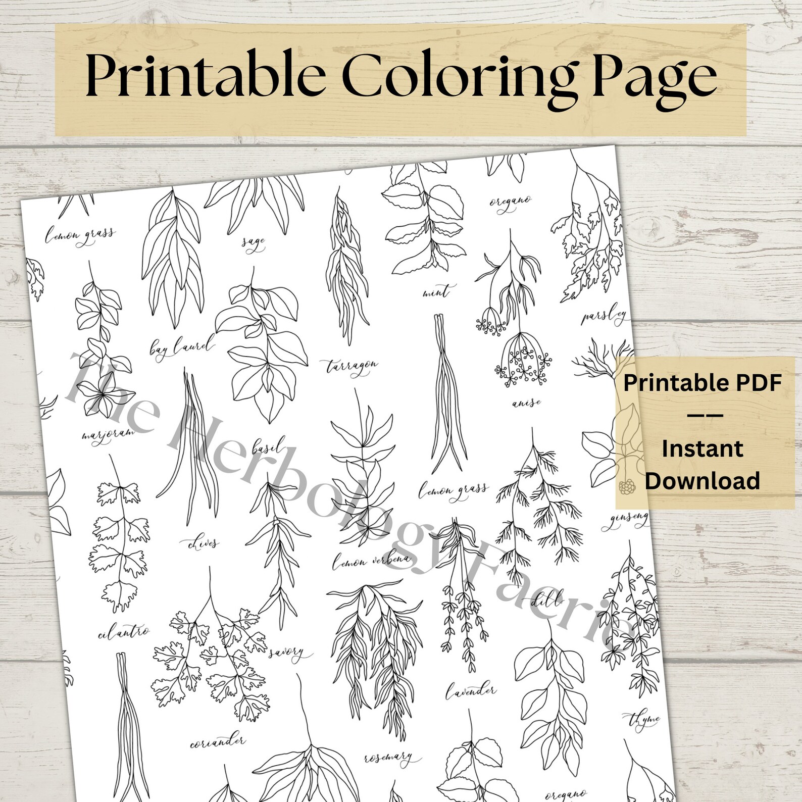Adult Coloring Page PDF | Herb Garden Coloring Page | Printable ...