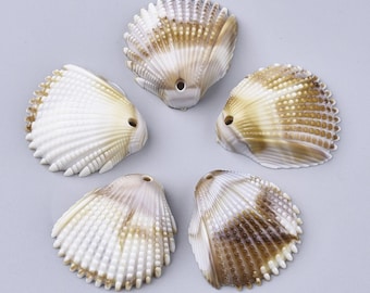 10pcs-Shell Acrylic  Pendant Charm  3D.