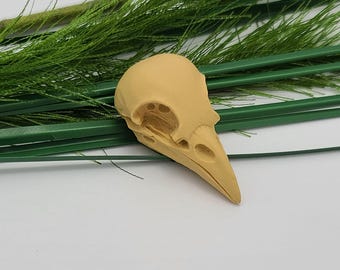 Crow Skull Polymer Clay Cabochon not Colored.