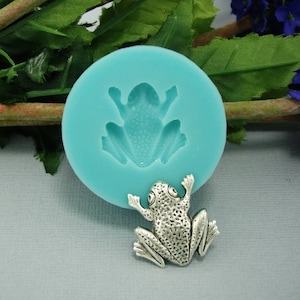 May include: A turquoise silicone mold with a frog-shaped impression. A silver frog charm is shown next to the mold.