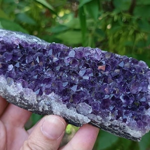 Deep Purple Amethyst Cluster from Uruguay – High-Quality Crystal for Decor, Healing, or Gift
