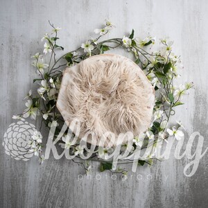 Dogwood spring bowl with fluff digital newborn backdrop
