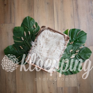 Rattan Bed newborn digital backdrop