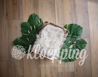 Rattan Bed newborn digital backdrop