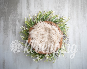 Spring Flower bowl newborn digital backdrop