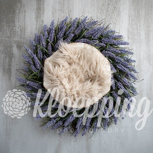 Lavender Wreath digital newborn backdrop download
