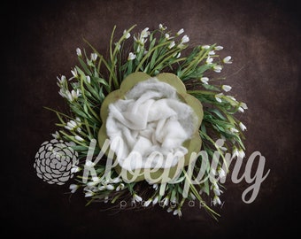 Spring Flower bowl newborn digital backdrop