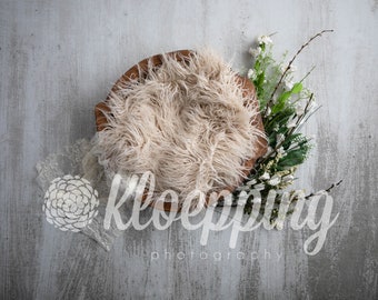 flowers and lace newborn digital background pussy willow flowers