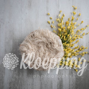 yellow spring flowers newborn bowl digital backdrop