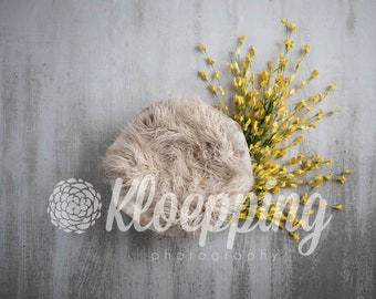 yellow spring flowers newborn bowl digital backdrop