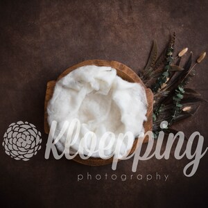 Quail Feathers, reeds and fluff newborn digital background