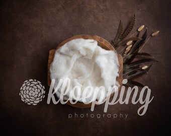 Quail Feathers, reeds and fluff newborn digital background