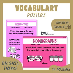 May include: Vocabulary posters with a bright theme. The posters are pink and feature definitions of homonyms and homographs. The text includes "Words that sound the same but have different meanings" and "Words that sound the same and are spelt the same but have different meanings."