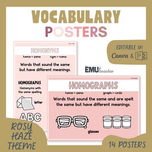 May include: Vocabulary posters with a rosy haze theme. The posters define homonyms and homographs, with examples like "letter" and "glasses." The text "Editable in Canva & PPT" is also visible. The set includes 14 posters.