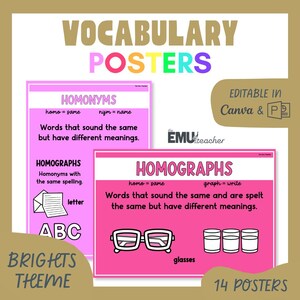 Puede incluir: Carteles de vocabulario con un tema brillante. Los carteles son rosas y presentan definiciones de homónimos y homógrafos. El texto incluye: "Palabras que suenan igual pero tienen diferentes significados" y "Palabras que suenan y se escriben igual pero tienen diferentes significados".