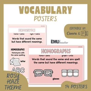 May include: Vocabulary posters with a rosy haze theme. The posters define homonyms and homographs, with examples like "letter" and "glasses." The posters are editable in Canva and PDF, with 14 posters in total.