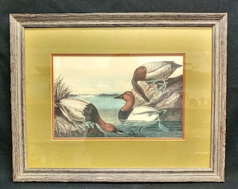Unsigned 4-Piece Lot of Framed and Matted Duck Prints w Glass Duck Varieties on Back Twin City Picture Framing Label