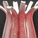 see more listings in the Vintage Pottery & Glass section