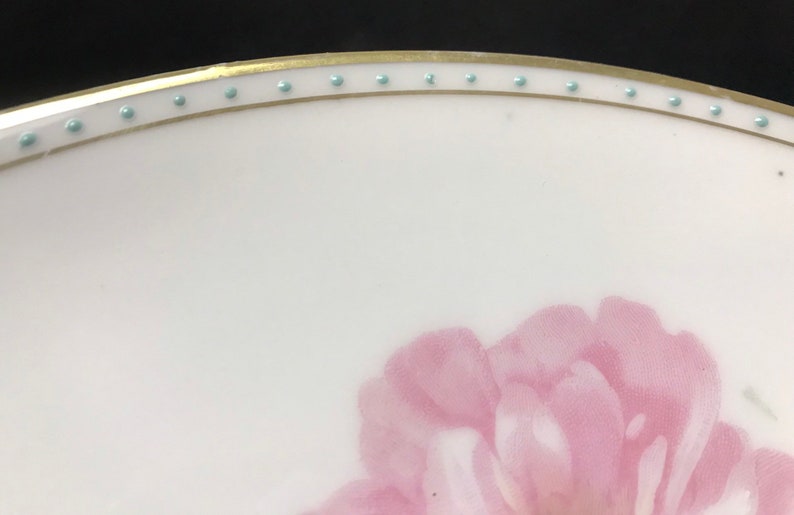 Tirschenreuth Bavaria Hand Painted White Pink Roses Cabinet Plate Wall Hanger ref 21154 T 8-38 Vintage Signed #3781 P